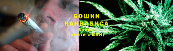 гидра Арсеньев