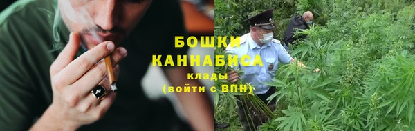 прущие грибы Аркадак
