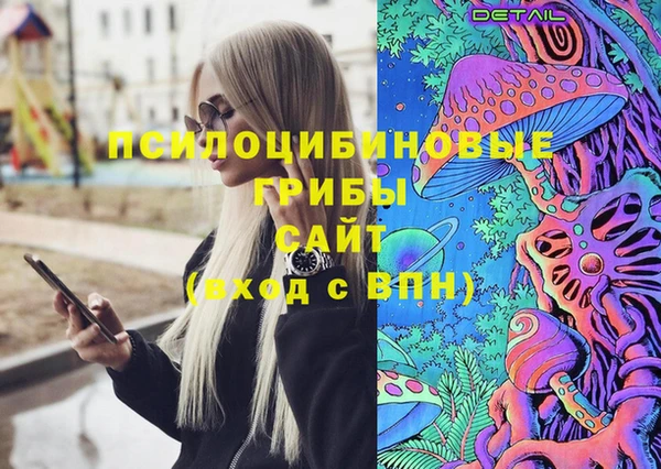 гидра Арсеньев