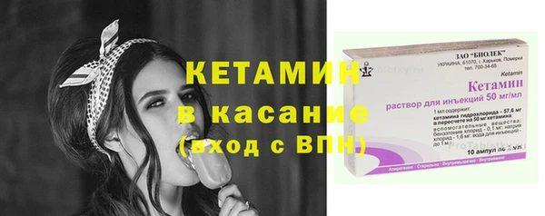 прущие грибы Аркадак
