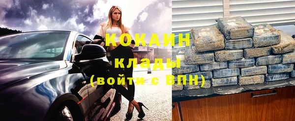 прущие грибы Аркадак