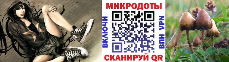 Купить  Кувандык  Псилоцибиновые грибы GOLDEN TEACHER 